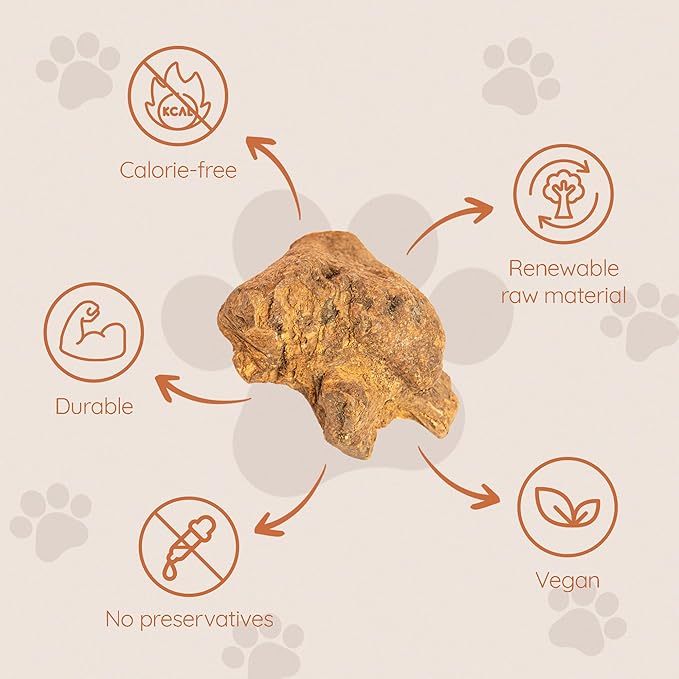 Wildfang® Briar Wood Chewing Root, XL - Splinter Free Wood Dog Chew Toys for Aggressive Chewer, Odorless Natural Teething Toys Dogs Dental Health, Healthy Gums (for Dogs 99-132 lbs), Pack of 1