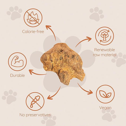Wildfang® Briar Wood Chewing Root, XL - Splinter Free Wood Dog Chew Toys for Aggressive Chewer, Odorless Natural Teething Toys Dogs Dental Health, Healthy Gums (for Dogs 99-132 lbs), Pack of 1