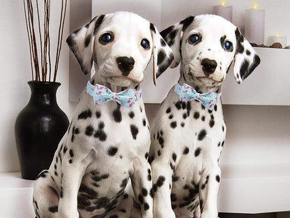ARING PET Bowtie Dog Collar Adjustable Collars with Bow Tie for Dogs Small Medium Large