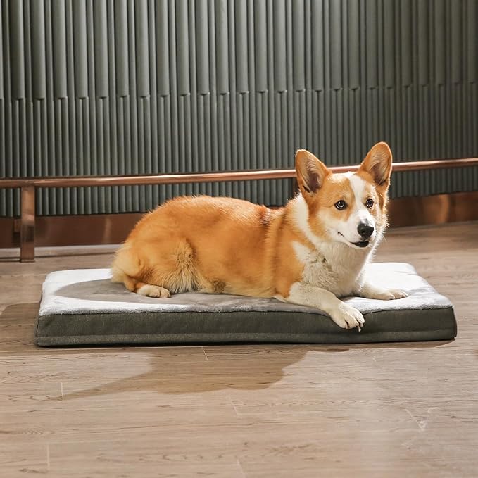 Amazon Basics Dog Bed with Cooling Gel Memory Foam, Pressure-Relief Support for Dogs up to 50lbs, Non-Slip Bottom, Machine Washable Cover, Large Sized (35" x 22"), Grey