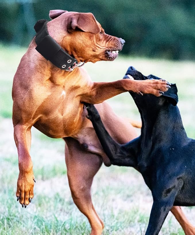Dog Collar for Large Dogs - 2 in Black Collars with Handle for Extra Large Breed Dogs, Heavy Duty K9 Nylon Pet Tactical Collar XL, Best Choice for Pitbull Doberman Rottweiler 22"-27"