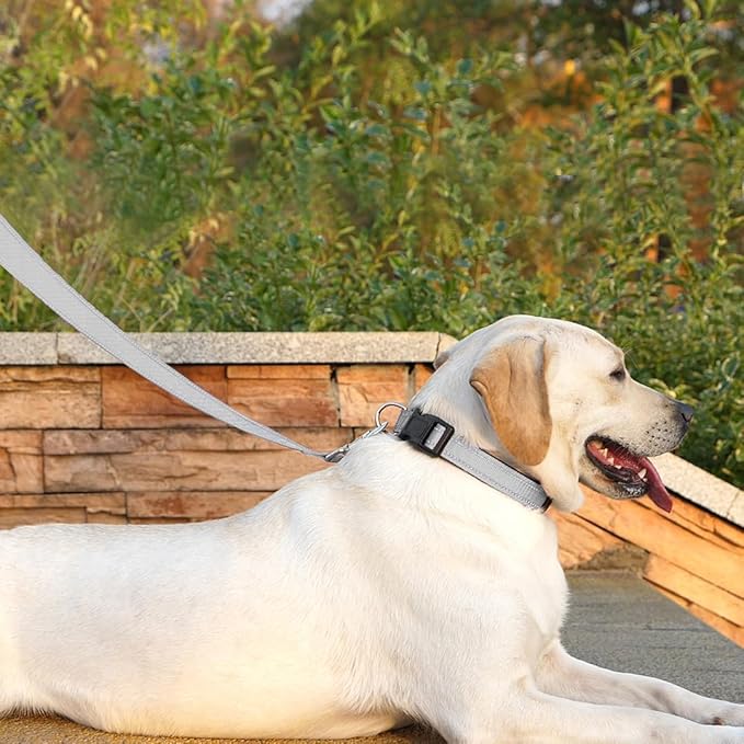 Dog Leash 6 FT Padded Handle Nylon Reflective Dogs Leashes for Small Dogs Silver