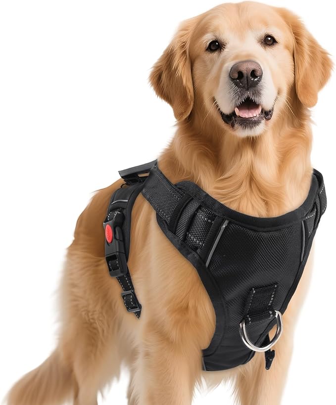 No Pull Dog Harness with 2 Leash Clips, Reflective Adjustable Soft Padded Vest with Handle, Breathable Oxford No Choke Pet Vest for Small Dogs, Black,S