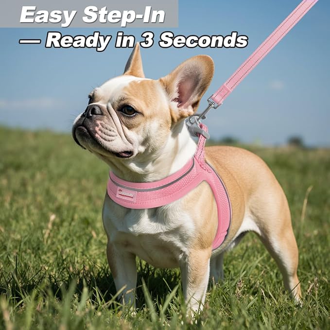 Dog Harness and Leash Set,Step in Small Sized Dog Harness,Soft Mesh,No-Chock,Reflective Adjustable,Secure with Hook & Loop Fastener,Puppy Vest for Small,Medium Dogs(Baby Pink,S)