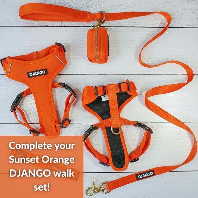 DJANGO Adventure Dog Leash – Strong, Comfortable, and Stylish Dog Leash with Solid Brass Hardware and Padded Handle - Designed for Outdoor Adventures and Everyday Use (Sunset Orange)