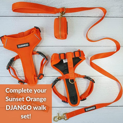 DJANGO Adventure Dog Leash – Strong, Comfortable, and Stylish Dog Leash with Solid Brass Hardware and Padded Handle - Designed for Outdoor Adventures and Everyday Use (Sunset Orange)
