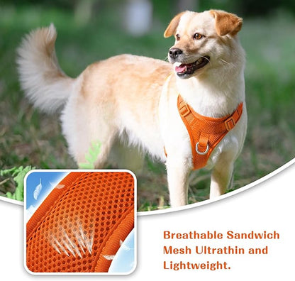 No Pull Dog Harness for Small Medium Large Dogs - Adjustable 2 Layer Mesh Dog Vest with Dual Clip, Escape Proof, Quick Release, Lightweight Breathable Mesh for Walking Hiking (Orange,XS)