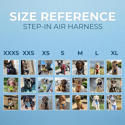 Best Pet Supplies Voyager Step-in Air Harness - All Weather Mesh, Reflective, No Pull Harness for Dogs, Cats - Secure with Hook & Loop Fastener, Buckle, Double D-Rings - Turquoise, XXXS