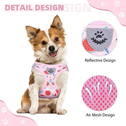 KOOLTAIL Dog Harness and Leash Set for Small Medium Dogs, Step in No Pull Soft Mesh Dog Harness Comfort Padded Pet Vest, Adjustable Reflective Easy Walking Puppy Cats Harness Training, Watermelon S