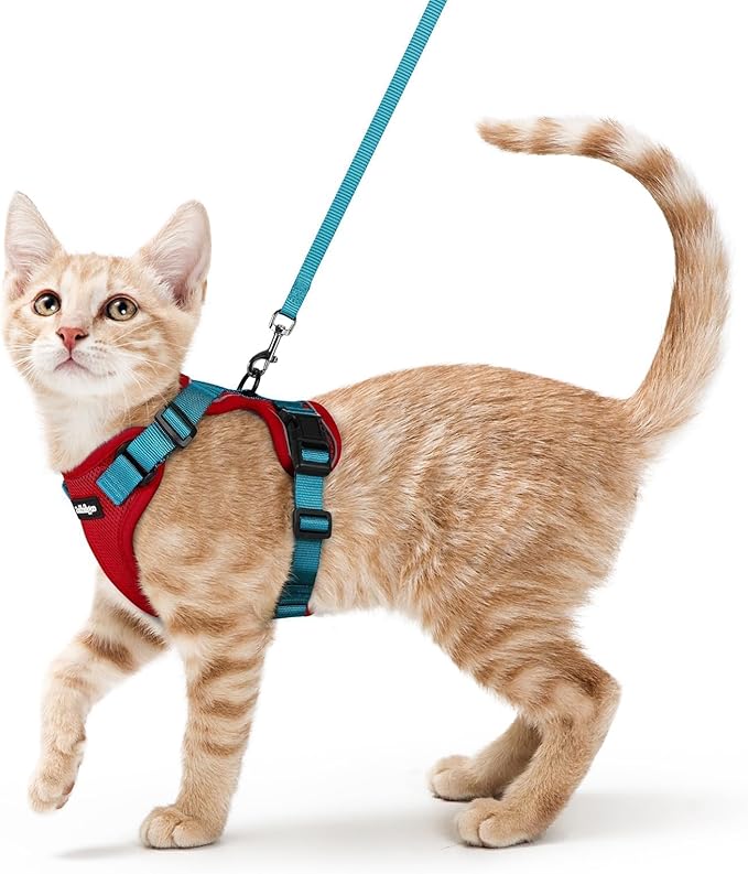 rabbitgoo Cat Harness and Leash for Walking, Escape Proof Soft Adjustable Vest Harnesses for Cats, Easy Control Breathable Reflective Strips Jacket, Red & Teal, S