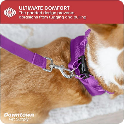 Downtown Pet Supply Step-in Dog Harness – No Pull, Adjustable Padded Mesh with Reflective Trim, Secure Buckle Strap – Comfortable & Breathable Small Dog Harness, Smal, Purple