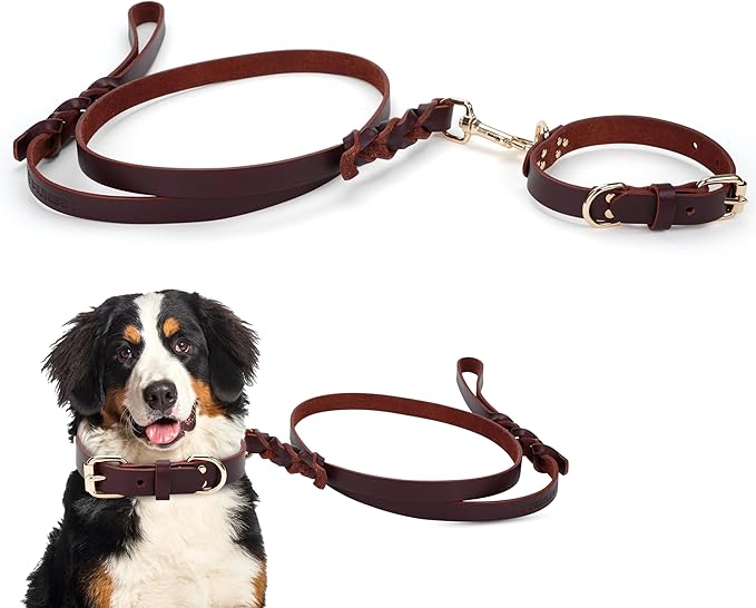 100% Real Leather Dog Collar and Leash Set, Premium Adjustable Fit with Durable Buckle, Stylish Comfort for Dogs (Medium)