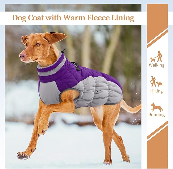 Dog Jackets for Medium Dogs,Medium Dog Coat,Warm Pet Winter Coat Zip Up Back,Waterproof Dogs Jacket with D-Ring,Pet Cold Weather Coats with Fleece Lined, Snowsuit Pug Boston Terrier,Purple,M