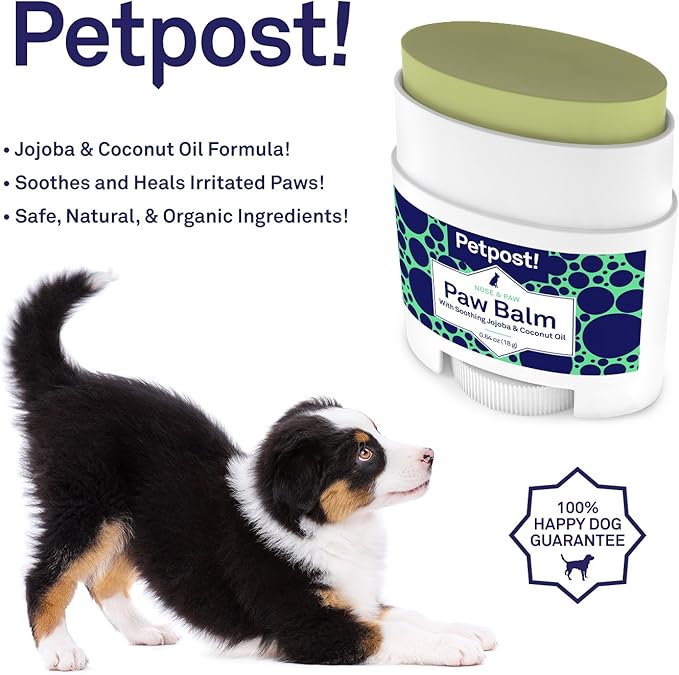 Petpost | Paw Balm for Dogs - Nourishing Cream Soothes Itchy, Dry Dog Paws with Moisturizing Ingredients - Organic Coconut Oil, Jojoba Oil, and Shea Butter 0.64 oz.