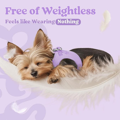 rabbitgoo Small Dog Harness, Step-in Soft Mesh Puppy Vest with Safety Buckle, Breathable Reflective Pet Harness for Extra Small Dogs, Light Purple XXXS
