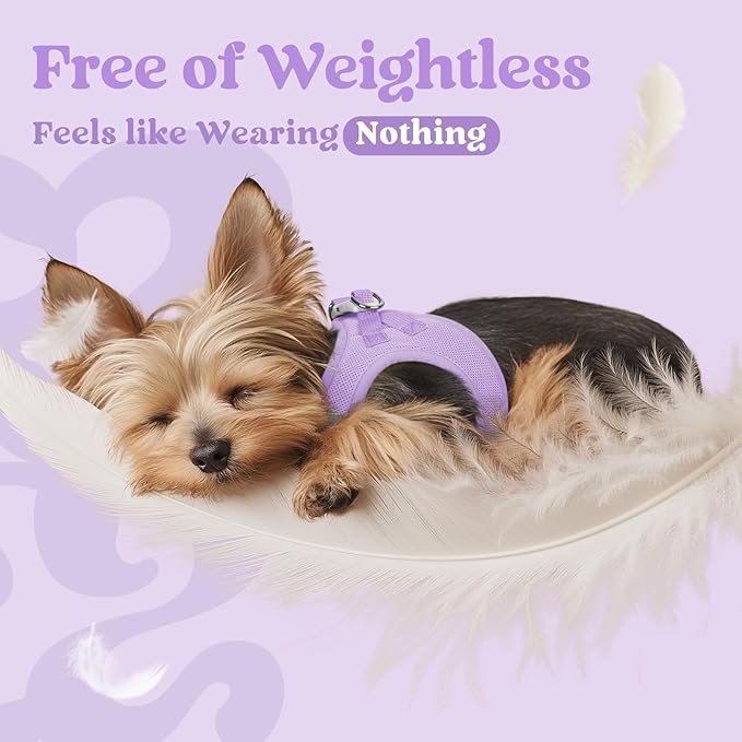 rabbitgoo Small Dog Harness, Step-in Soft Mesh Puppy Vest with Safety Buckle, Breathable Reflective Pet Harness for Small Sized Dogs, Light Purple S