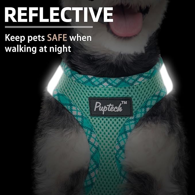 PUPTECK Dog Harness and Leash Set for Small Medium Dogs No Pull Step-in Soft Mesh Puppy Cat Vest Harnesses Reflective at Night, Green M