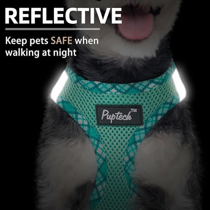 PUPTECK Dog Harness and Leash Set for Small Medium Dogs No Pull Step-in Soft Mesh Puppy Cat Vest Harnesses Reflective at Night, Green M