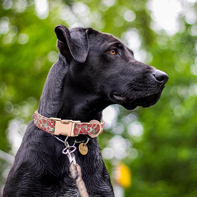 Cotton Dog Collar Metal Buckle Daisy Summer, Cute Adjustable Dog Collar Soft for Small Medium Large Boys Girls Dogs Durable