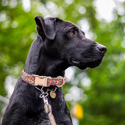 Cotton Dog Collar Metal Buckle Daisy Summer, Cute Adjustable Dog Collar Soft for Small Medium Large Boys Girls Dogs Durable