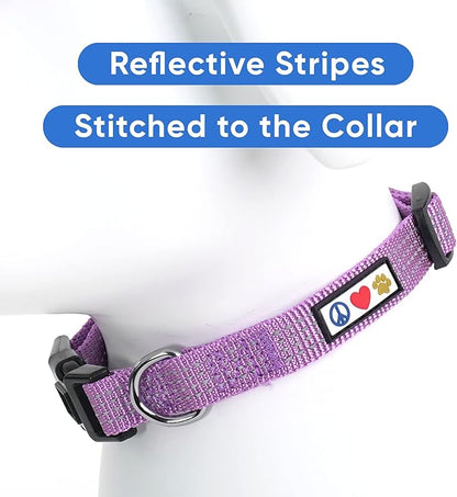 Pawtitas Reflective Dog Collar Adjustable Dog Collars for Small Dogs Puppy Collar Small Dog Collar Orchid Purple Dog Collar