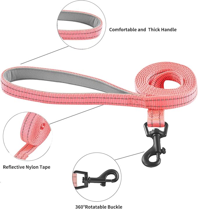 Hipubby Dog Harness and Leash Set, No Pull Soft Mesh Puppy Harness for Small Medium Dogs, Cats - Step in Reflective Breathable Lightweight Vest Harness for Walking, Training - Pink, XS
