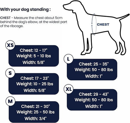 Non-Restrictive Dog Harness, Neck Buckle Design, Easy Walk Freedom No Pull Harness, Keep Balance, Six Points Adjustment, for Large Dogs Chest(25-35 inches) Blue/Black