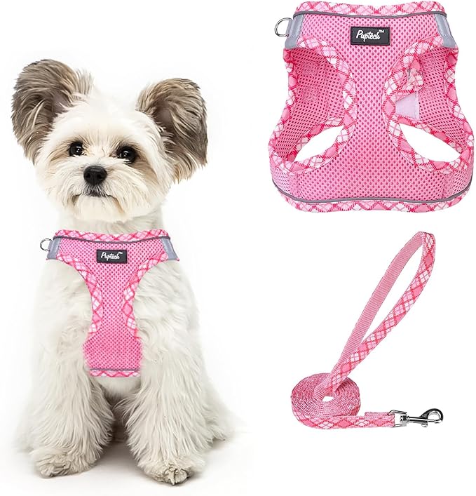 PUPTECK Dog Harness and Leash Set for Small Medium Dogs No Pull Step-in Soft Mesh Puppy Cat Vest Harnesses Reflective at Night, Upgraded New Pink XS