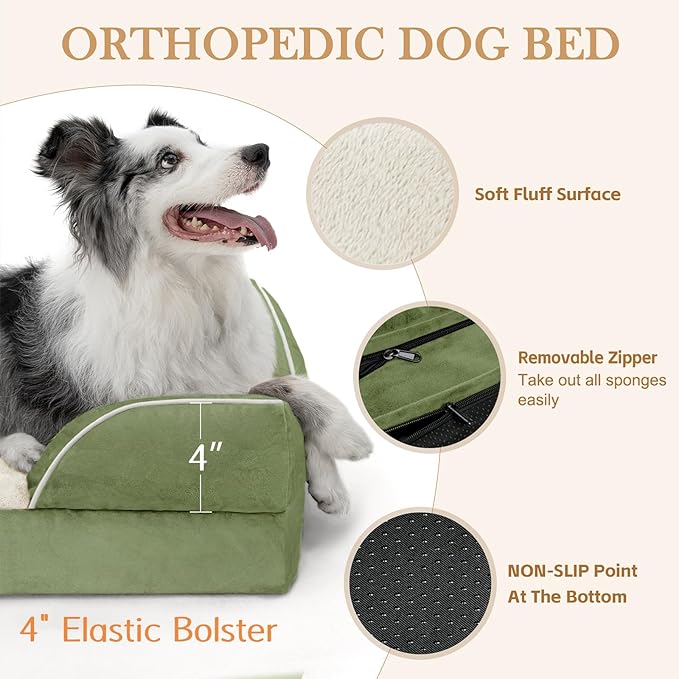Comfort Expression Orthopedic Dog Bed for Medium Dogs 30x20 Inch, Waterproof Egg Crate Foam Medium Pet Bed with Removable Bolsters, Dog Couch with Washable Cover & Non-Slip Bottom, Light Green