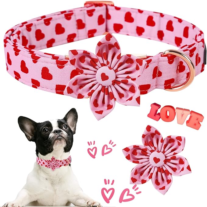 ARING PET Valentine's Day Dog Collar-Adorable Pink Heart Dog Collar with Flower, Adjustable Cotton Girl Dog Collars with Metal Buckle