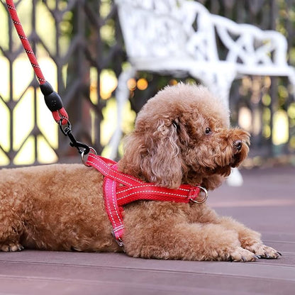 Plutus Pet No Pull Dog Harness with Breathable Mesh Padded, Adjustable Reflective Escape Proof Dog Harness, Quick Fit Dog Vest Harness for Small Medium Large Dogs(XS, Red)