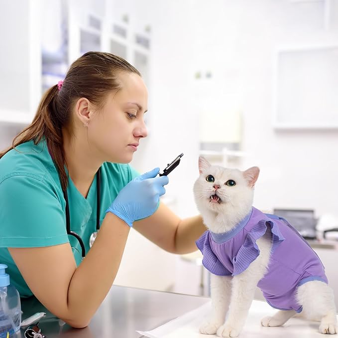 Avont Cat Recovery Suit - Post-Surgery Onesie for Cats, Alternative to Cone of Shame, Protective Spay Suit for Female Kitten, Ideal for Healing and Skin Conditions -Purple(S)