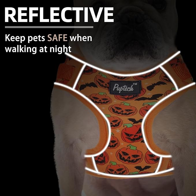 PUPTECK Halloween Small Dog Harness and Leash Set, No Pull Adjustable Puppy Cat Harness, Reflective Soft Mesh Pet Vest Small Sized, Pumpkin, S