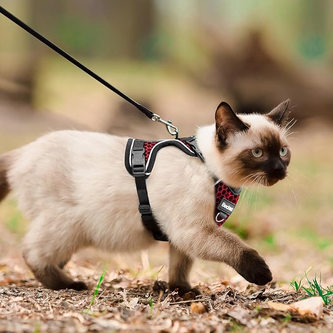 Cat Harness and Leash for Walking Escape Proof Soft Adjustable Cat Leash Breathable Honeycomb Structure Comfortable Vest Easy to Wear Kitten Harness for Outdoor Travel, Honeycomb Red, M