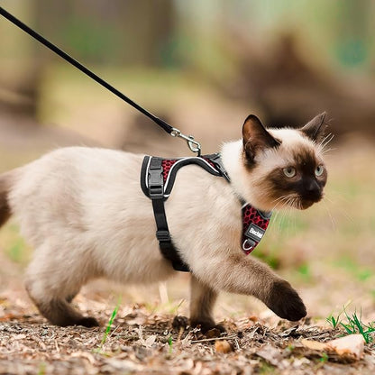 Cat Harness and Leash for Walking Escape Proof Soft Adjustable Cat Leash Breathable Honeycomb Structure Comfortable Vest Easy to Wear Kitten Harness for Outdoor Travel, Honeycomb Red, M
