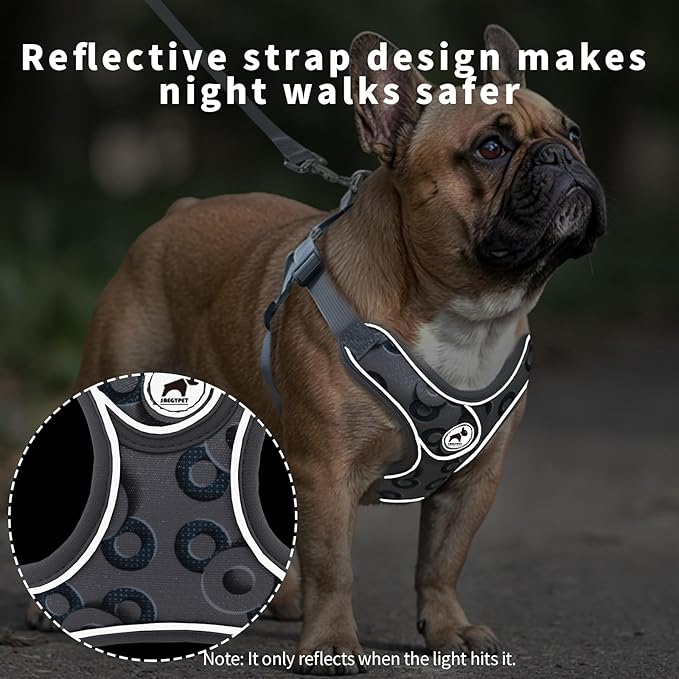Dog Harness with Leash Set, No Pull Adjustable Step in Dog Harness Vest Harness for Large Dogs Training and Running (L, Gray with Circle)