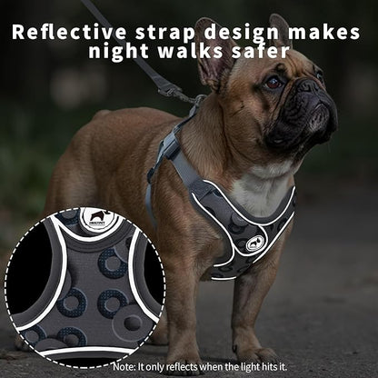 Dog Harness with Leash Set, Reflective Strips Step in with Breathable Padded Vest Harness for Small Dogs Running (S, Gray with Circle)