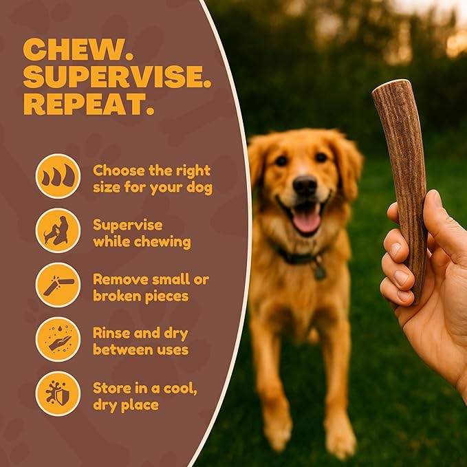 WhiteTail Naturals - Deer Antlers for Dogs - Long Lasting Antler Dog Chews - Crafted in USA, Naturally Shed Antler Dog Bones for Aggressive Chewers (Thick-Medium- 1 Pack)