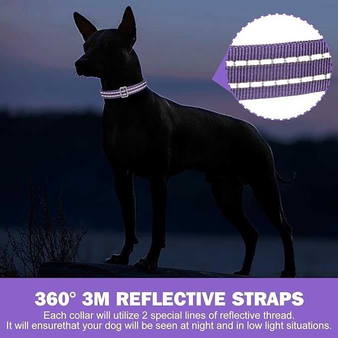 Tacwild Adjustable Reflective Dog Collar, Puppy Collar with D-Ring Buckle - Durable Safety Nylon Dog Collars for Large Dogs (Purple-L)