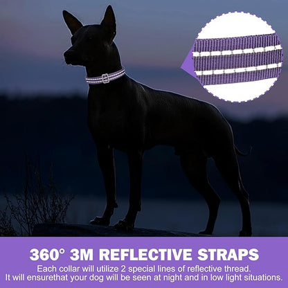 Tacwild Adjustable Reflective Dog Collar, Puppy Collar with D-Ring Buckle - Durable Safety Nylon Dog Collars for Large Dogs (Purple-L)