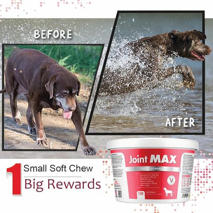 Joint Max TS Joint Supplement Vet Formulated Pain & Inflammation Relief Treats Hip Dysplasia & Arthritis, Glucosamine, Chondroitin, Turmeric, MSM, HA, Creatine, Omega 3 EPA + DHA.120 Soft Chews