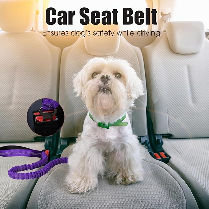 BUMBIN 6Ft Dog Leash - Large Dogs, Bungee Leash with 2 Handles, Heavy Duty, No Pull Shock Absorbing, Purple