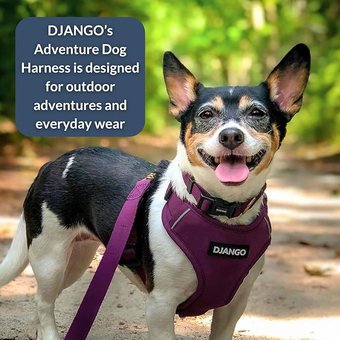 DJANGO Adventure Dog Harness - Stylish, and Durable Small Dog Harness for Outdoor Adventures and Everyday Wear - Plum Purple Neoprene Adjustable Harness for Dogs with Reflective Piping, Brass D-Ring