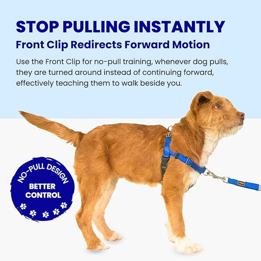 Freedom No Pull Dog Harness, Easy Walker, Stop Pulling with Two Stainless D-Rings, Comfortable, Sewn-in Instructions Tags for Easy Use, for Small Dogs Weight 20-30 lbs (Blue, Small)