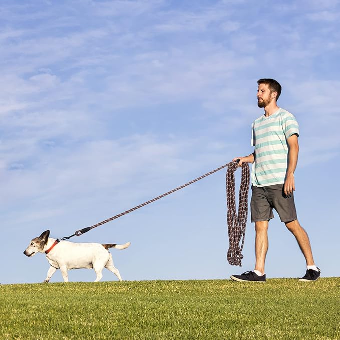 Long Dog Leash for Training 30Ft-Reflective Nylon Rope with Swivel Hook-Recall Agility Lead for Large Small Medium Dogs Outside Walking Hiking-Brown