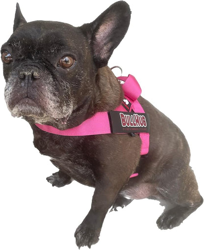 BULLHUG Adjustable Dog Harness– No Pull, No Choke – for English Bulldogs, French Bulldogs, Pugs & Broad-Chested Breeds – Easy, Safe Walks (Teal, Small)