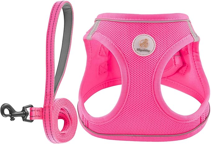 Hipubby Dog Harness and Leash Set, No Pull Soft Mesh Puppy Harness for Small Medium Dogs, Cats - Step in Reflective Breathable Lightweight Vest Harness for Walking, Training - Rose Red, M