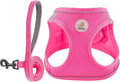 Hipubby Dog Harness and Leash Set, No Pull Soft Mesh Puppy Harness for Small Medium Dogs, Cats - Step in Reflective Breathable Lightweight Vest Harness for Walking, Training - Rose Red, XS
