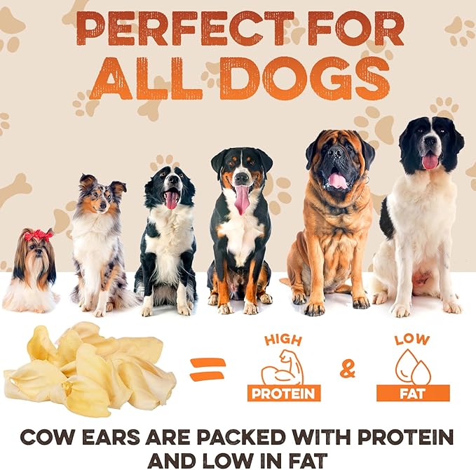 BRUTUS & BARNABY Cow Ears for Dogs – Whole Ears 100 ct, Thick Cut, Grass-Fed Angus Beef, All-Natural No-Rawhide Dog Treat Alternative