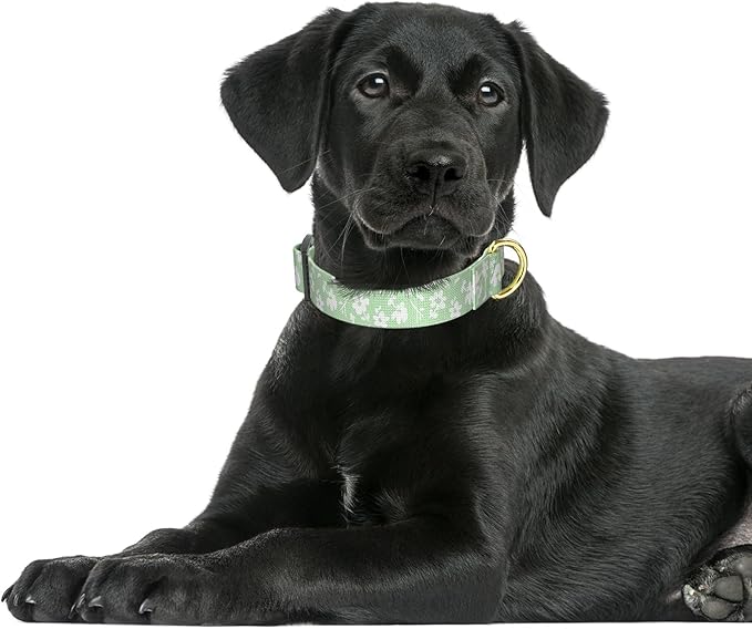 Rnivvi Dog Collar for Large Dogs, Cute Floral Heavy Duty Adjustable Puppy Collar with Quick Release Buckle for Girl & Female, Pet Accessories for Walking Running, L Length 1" Width, Green